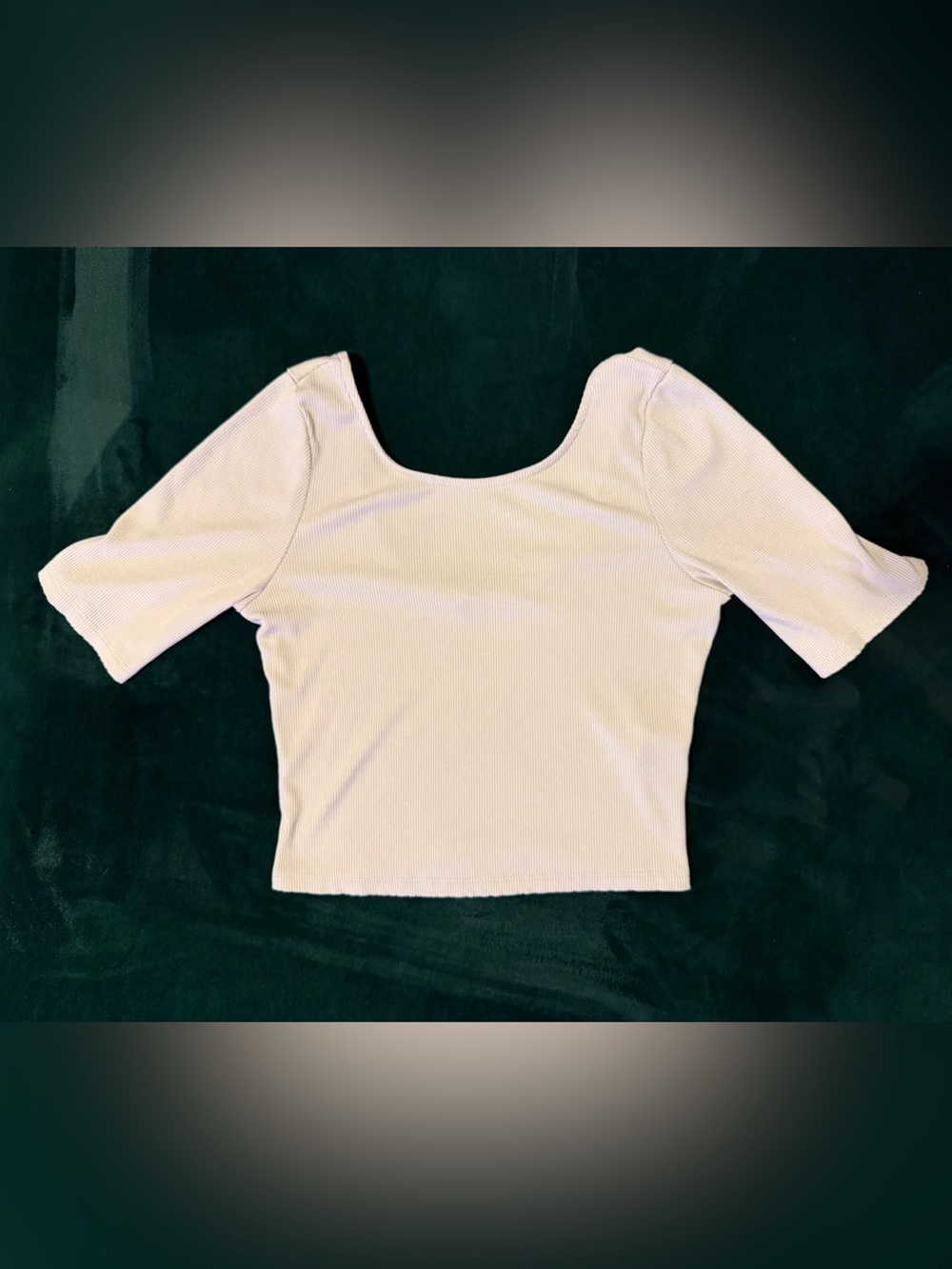 By Together Fitted Tan Short Sleeve Crop Blouse with Low Back